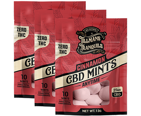 CBD Mints 25mg 3 pack