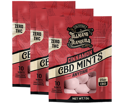 CBD Mints 25mg 3 pack