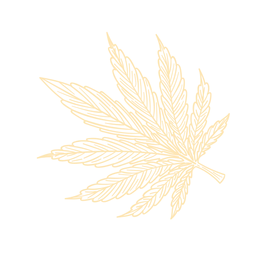 Leaf Background Image