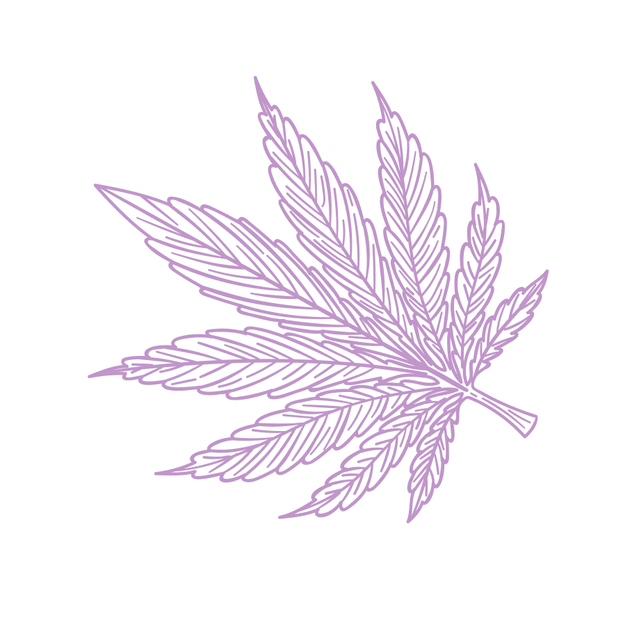 Leaf Background Image