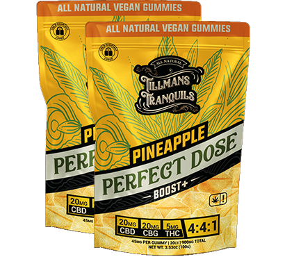 Pineapple-4_4_1-CBD_CBG_THC-Gummies-2-pack